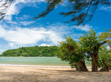 Phuket, ,2072 Phuket, ,2072