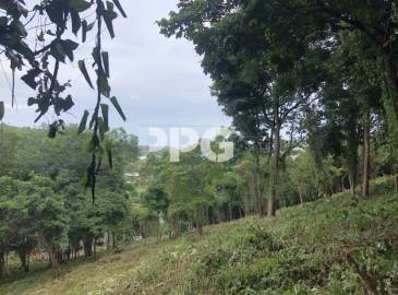 Phuket, ,ที่ดิน,ขาย,2512 Phuket, ,ที่ดิน,ขาย,2512