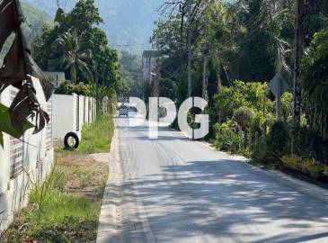 Phuket, ,Land,For Sale,2640 Phuket, ,Land,For Sale,2640